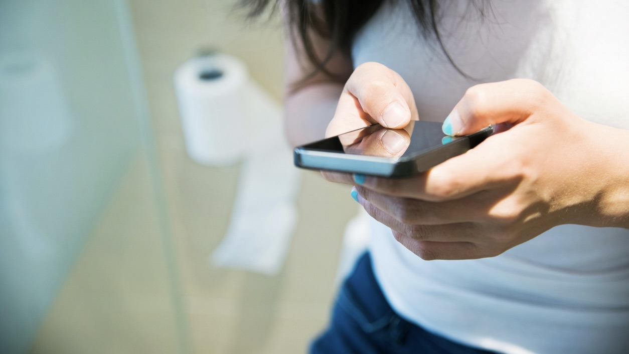 Toilets, even when cleaned regularly, still carry a high load of bacteria.