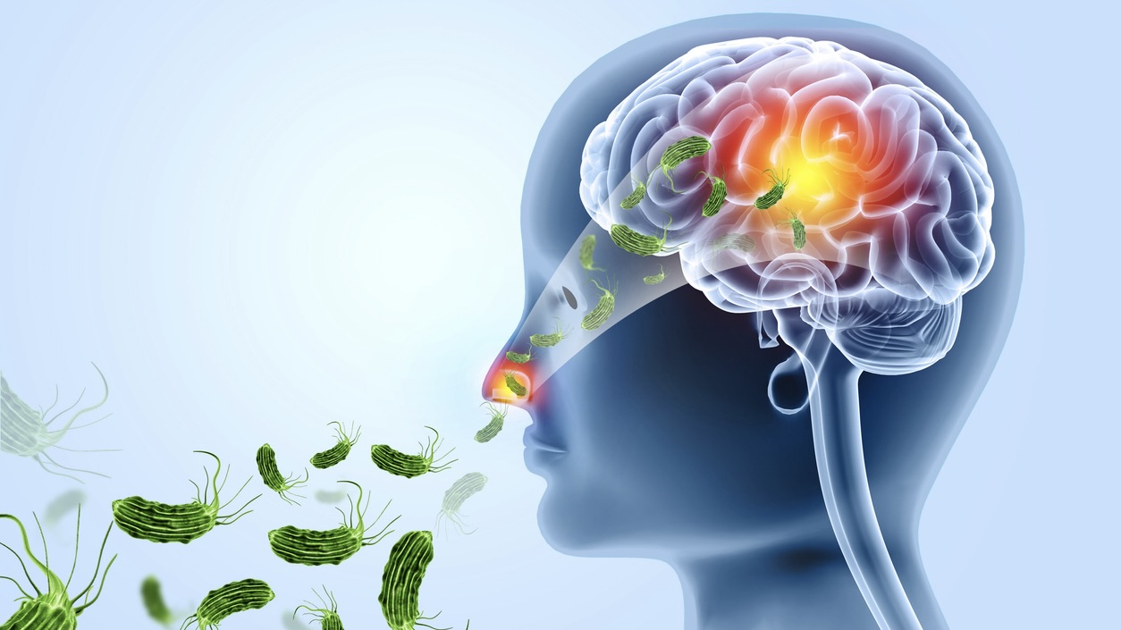 Visual concept of deadly brain-eating amoeba infection.