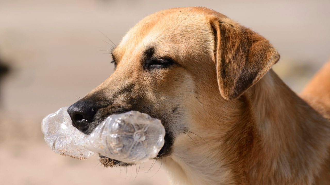 Representational image. Credit: iStock