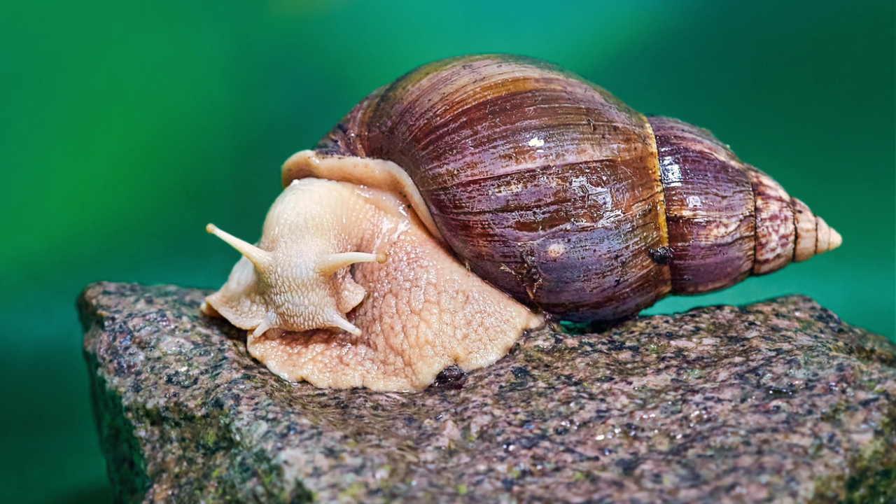Representational image. Credit: iStock