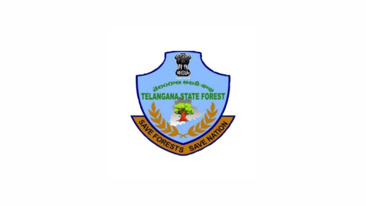 The task involves the demarcation and verification of forest boundaries.