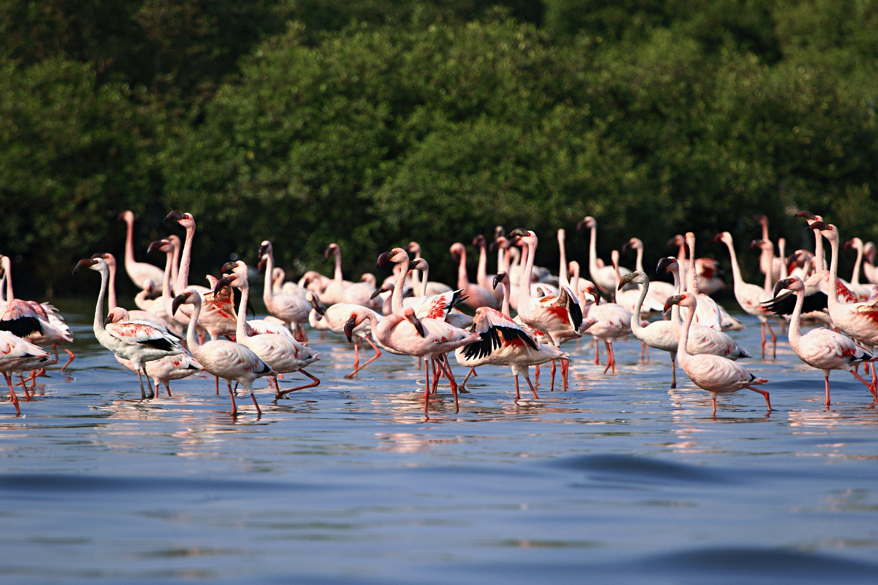 Representational image. Credit: iStock