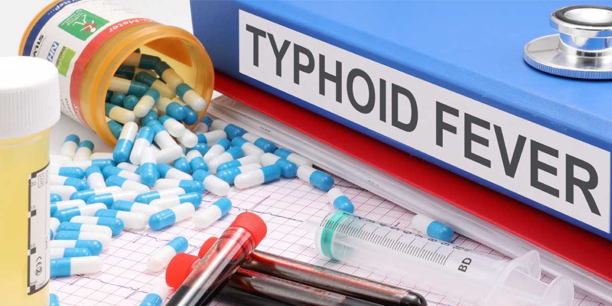 Typhoid. (Creative Commons)
