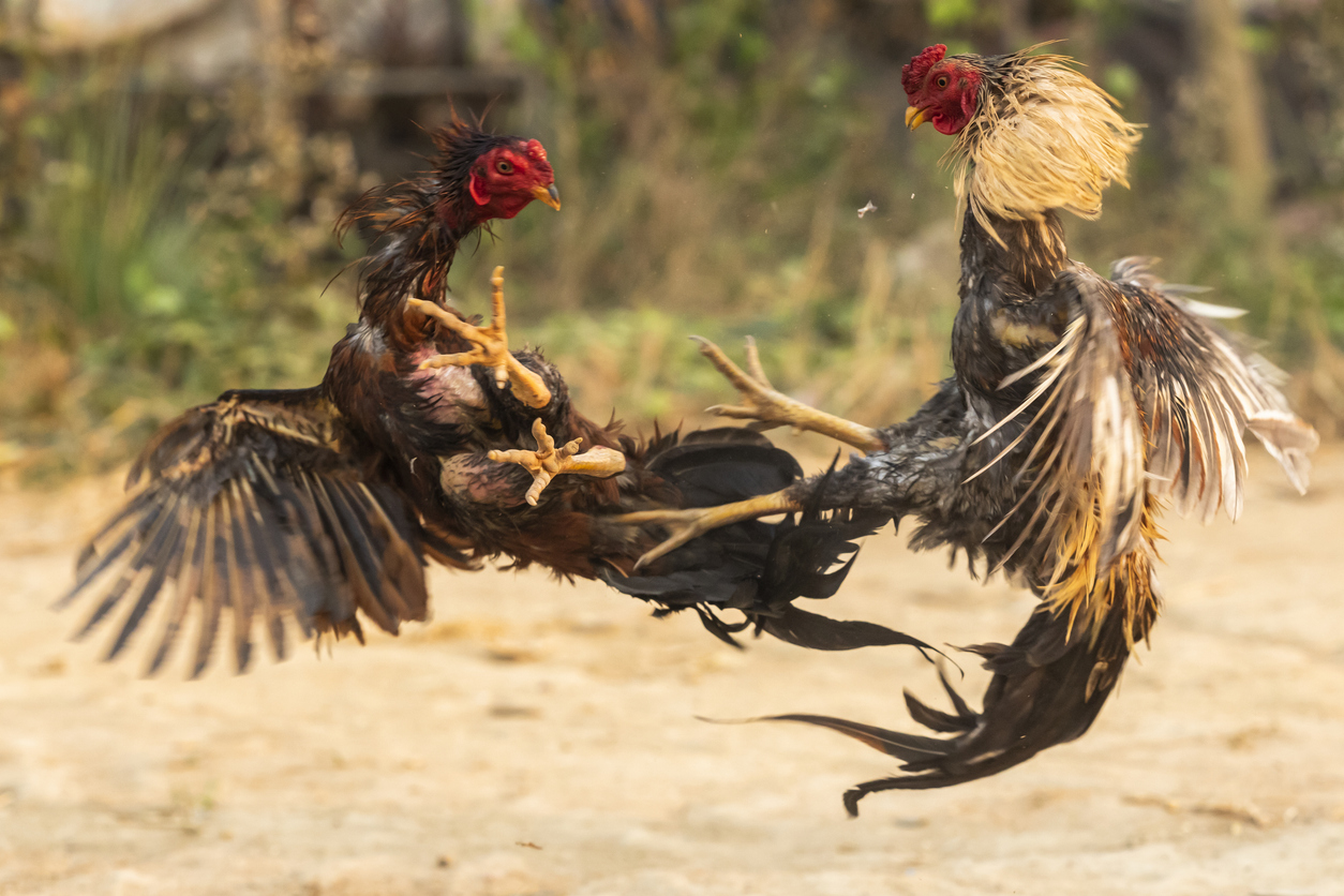 Representational image. Credit: iStock