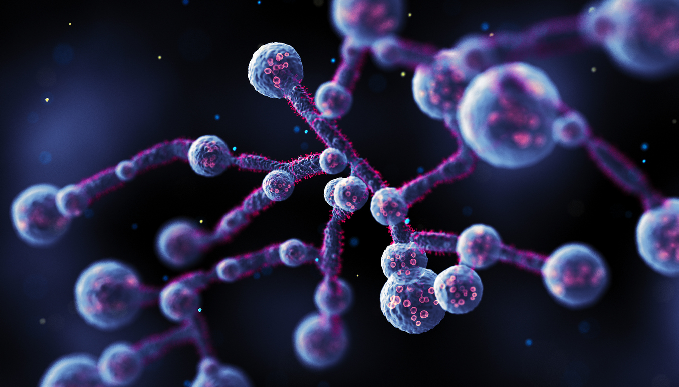 Representational image. Credit: iStock