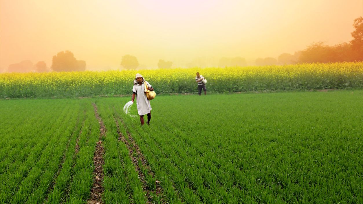 India-US trade deal farmers