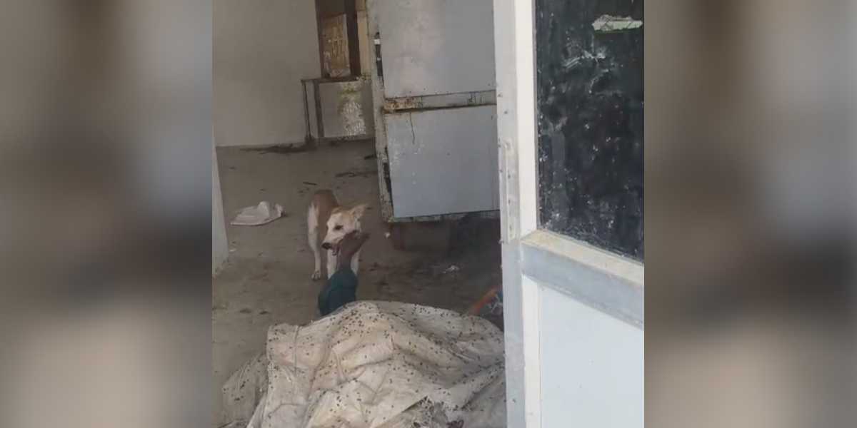 Screengrab from the incident