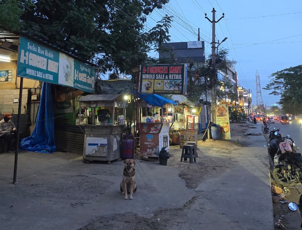 Hyderabad, 6 July: The uneven footpath at Kompally poses a risk to pedestrians, especially the elderly. Food stalls on the walkway add to the chaos.