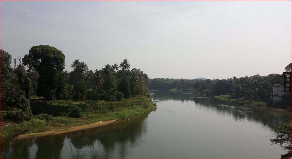 Muvattupuzha has an economic identity different from the Kochi-centred urban economy of western Ernakulam.
