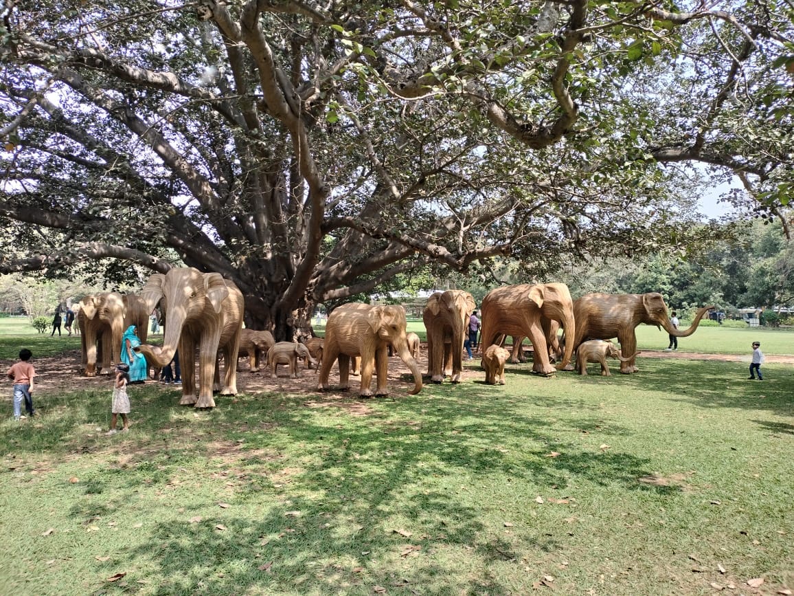 Elephants