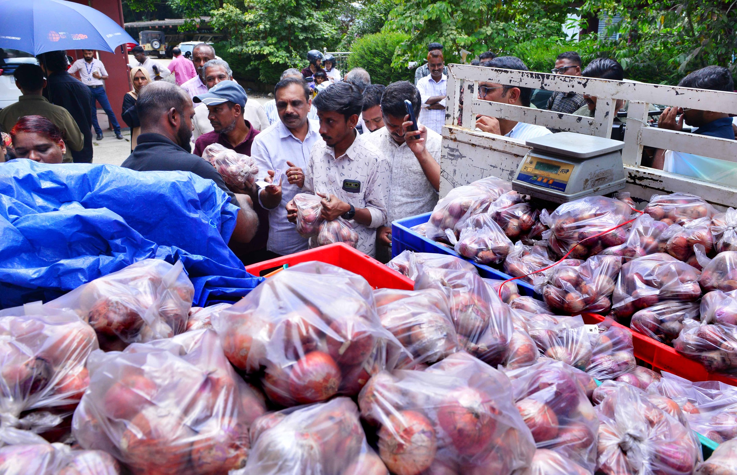 Onions at ₹35/kg: Consumers queue up as government steps in to tame onion prices