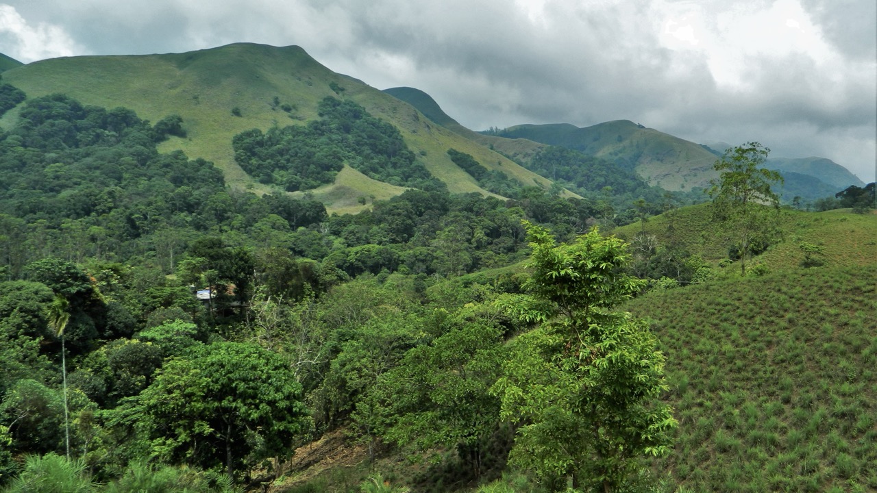 Chief Minister DK Shivakumar said Karnataka would protect the Western Ghats while safeguarding the lives, livelihoods and rights of communities.