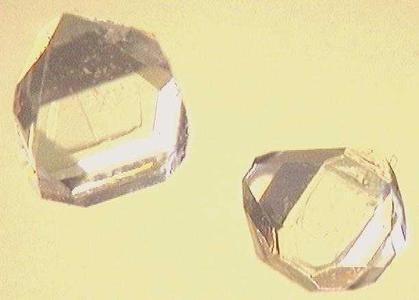 Xylitol is an organic compound used as a food additive and sugar substitute. Pictured, xylitol crystals.