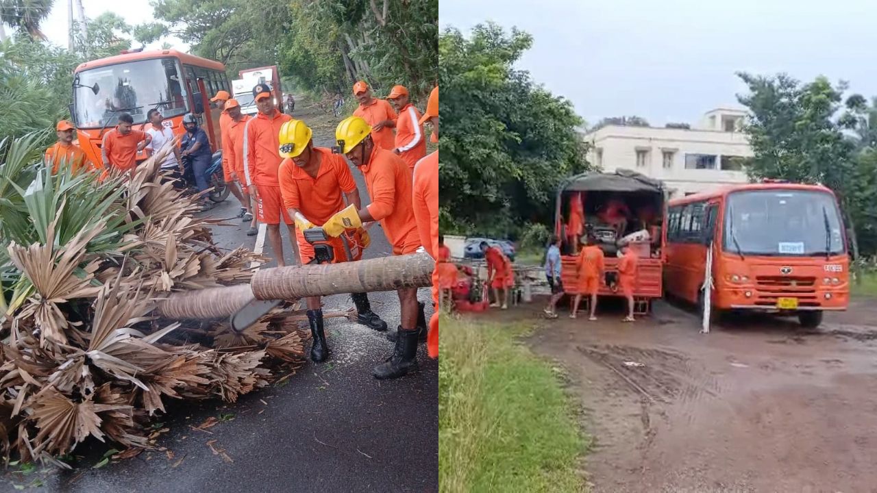 Cyclone Arnab: CM Naidu sets two-hour deadline for road clearance, orders power restoration and crop-loss assessment