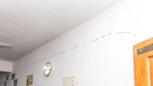 Thirty-five houses in the Peechi region have sustained damage, including wall cracks, following recurring tremors