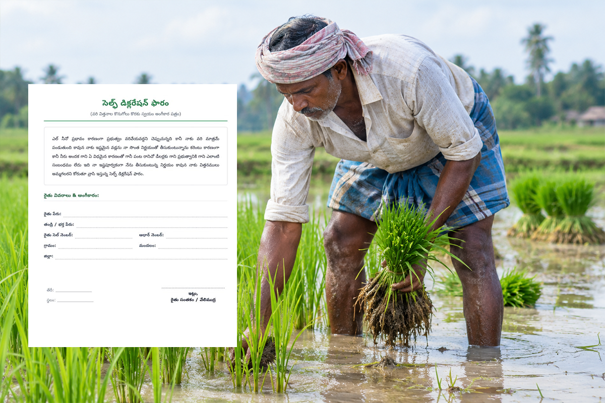 Sign a self-declaration and risk it all: Telangana seed dealers’ forms anger paddy farmers