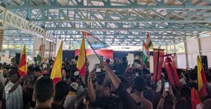 People were seen waving the tricolour and Karnataka's state flag. (Keerthivas/South First)