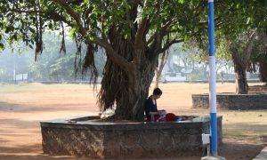 Fort Kochi has made coexistence a way of life, shaped by trade, migration, and cultural exchange. (South First)