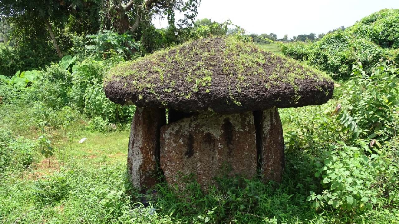 A 'kudakallu', a prehistoric megalithic burial monument, at Kundamkuzhy, Kasaragod. (Kerala Tourism).