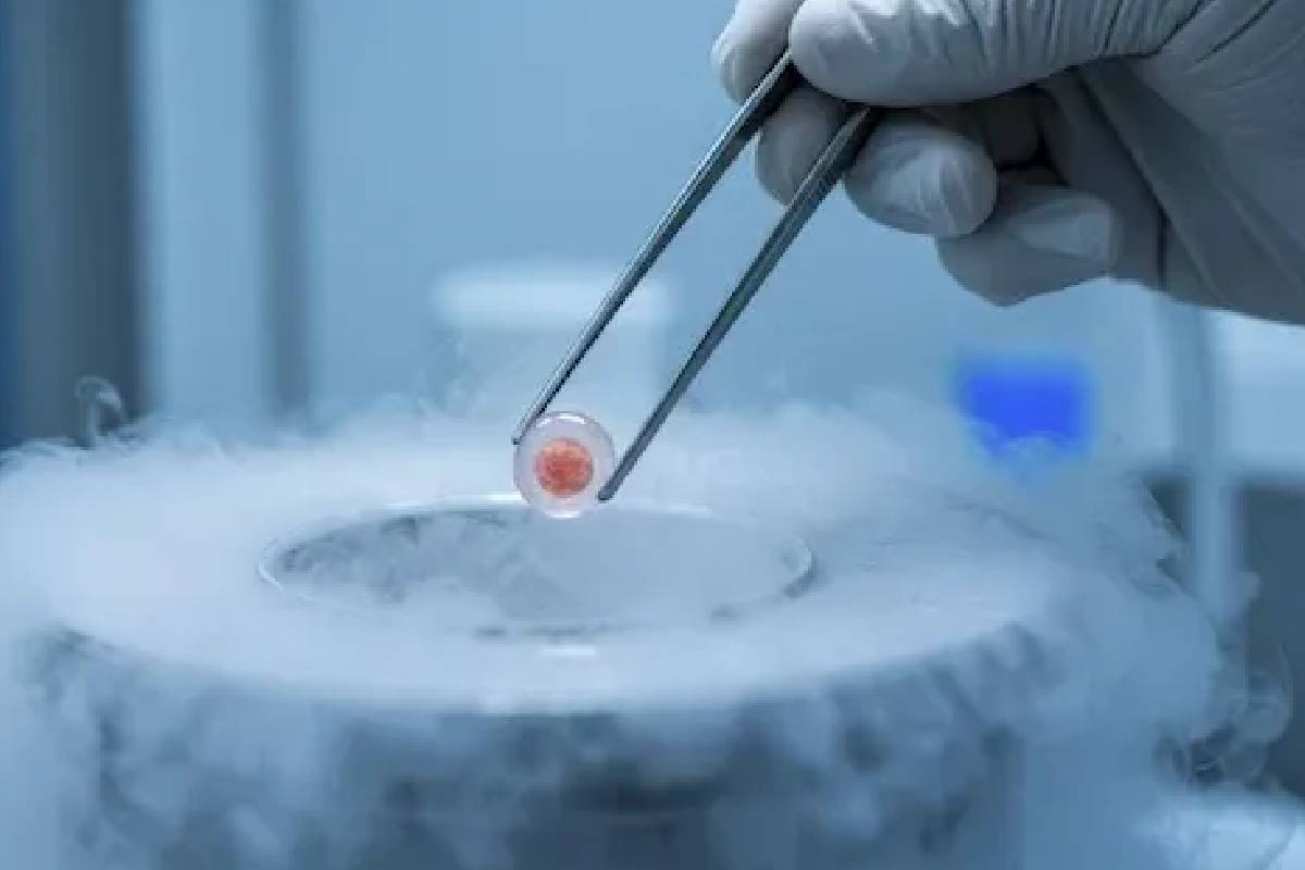 Egg freezing
