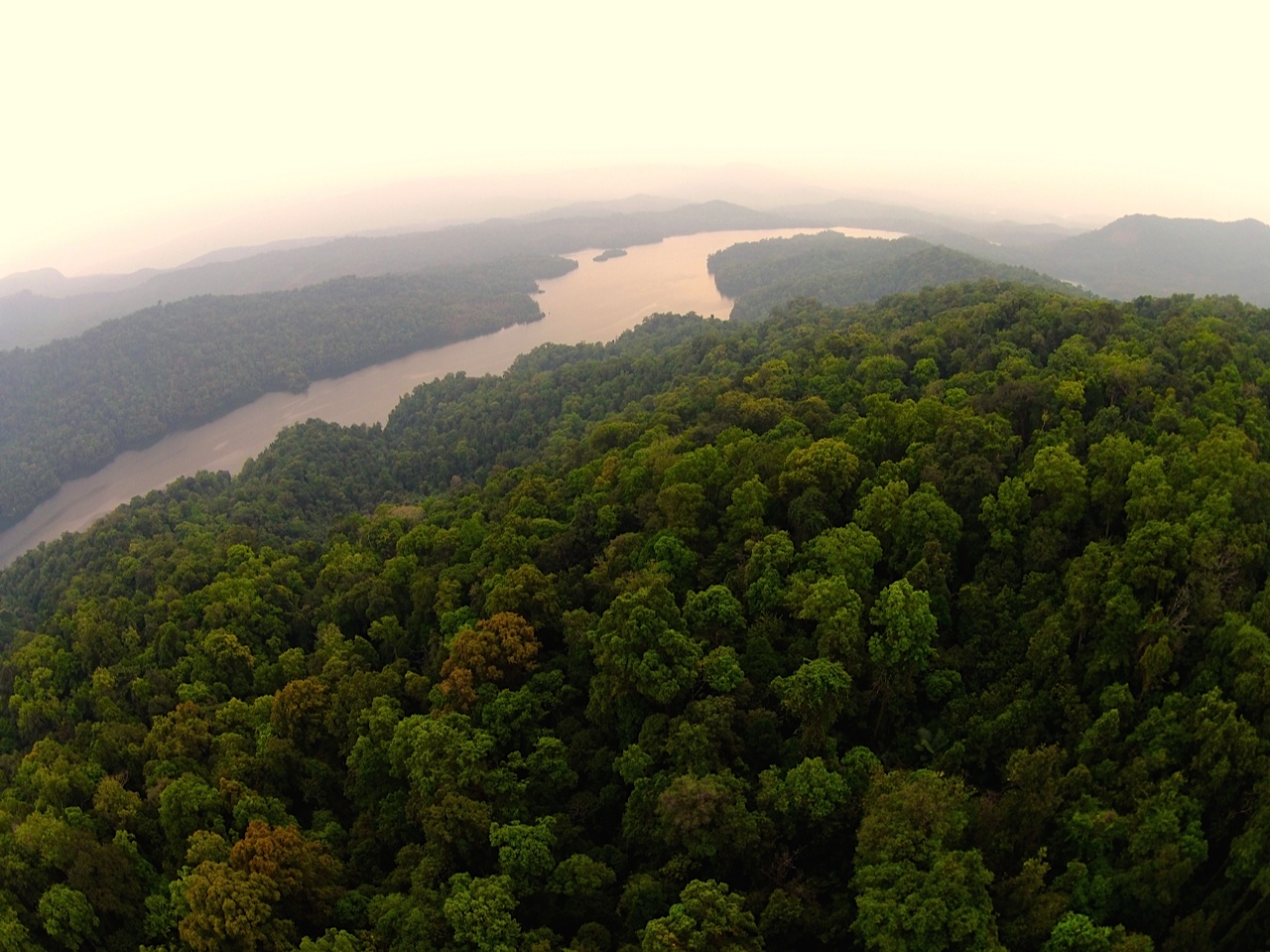 Sharavathi project: Experts question NIAS report, warn of ecological risks in Western Ghats