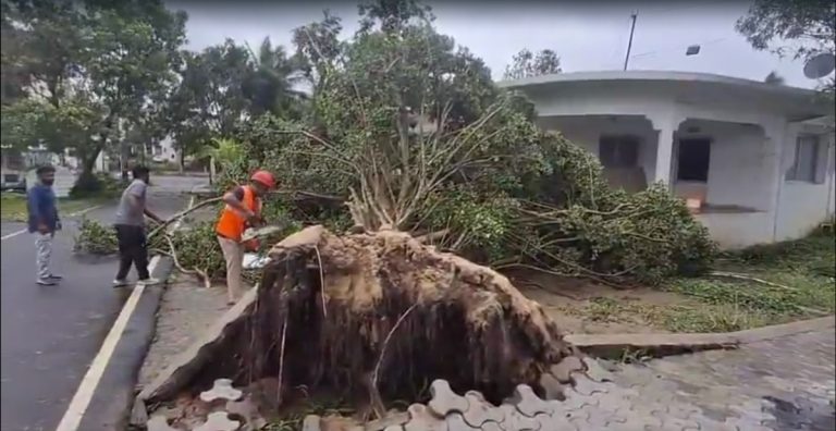 Cyclone Arnab wreaks havoc: Seven killed in accidents across several districts